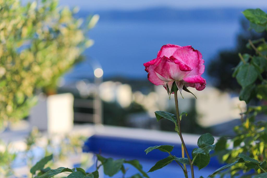 Villa Levanda Makarska Exteriör bild